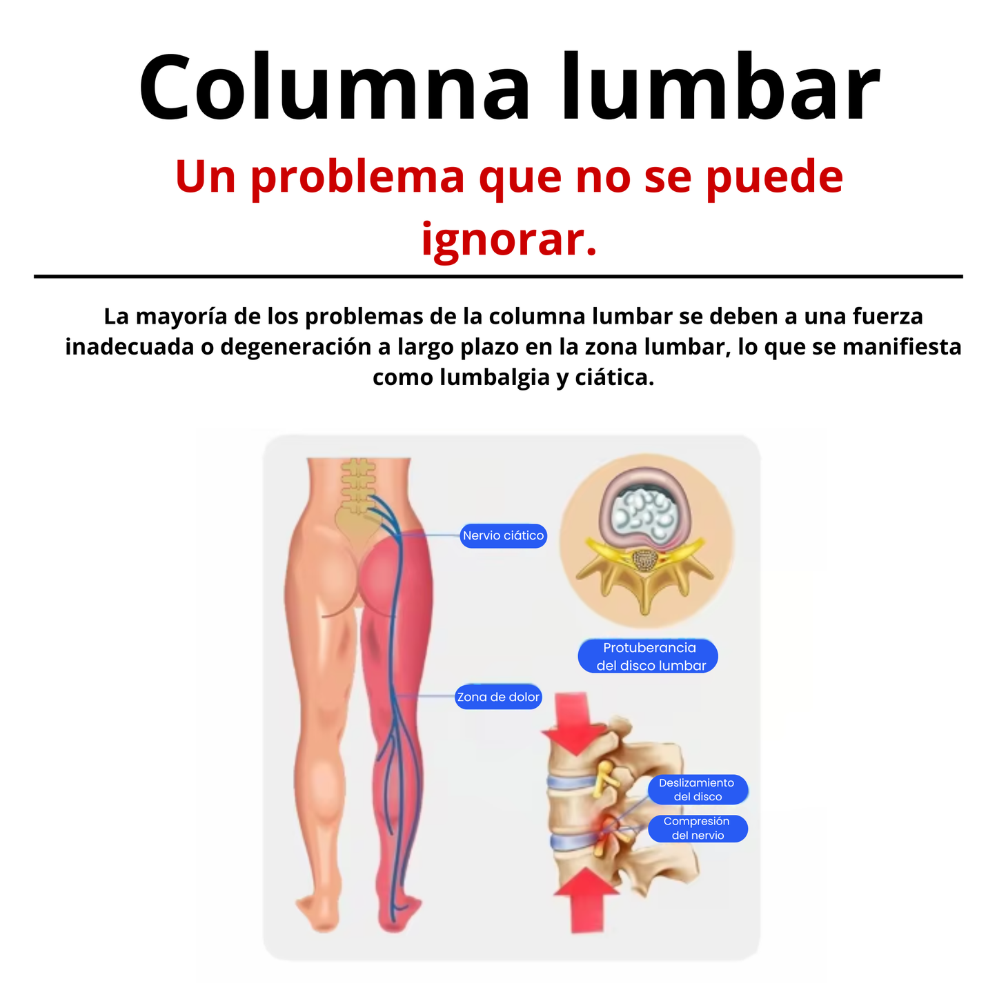 💆‍♂️ Masajeador de Estiramiento para Espalda – Alivia el Dolor de la Columna Lumbar