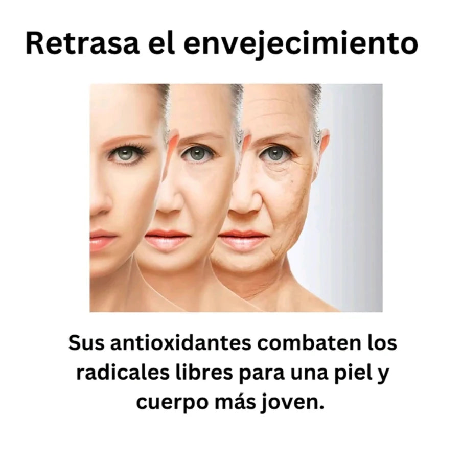 Shilajit Pura Del Himalaya : toma el control de una vida sana y equilibrada. 100g