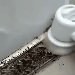 ⚡ Cepillo de Limpieza Eléctrico Portátil 3 en 1